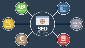 seo online