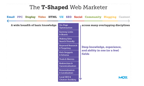 seo management