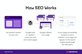 seo search results
