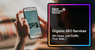 organic seo expert